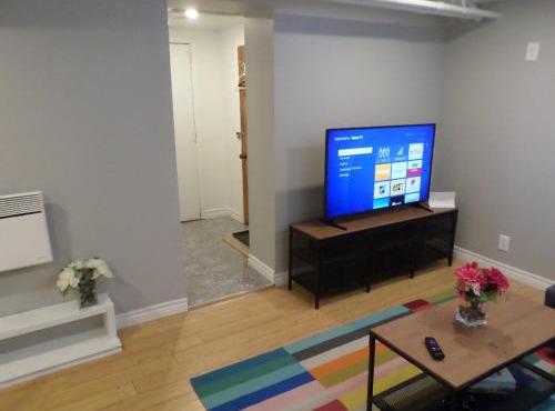 Fantastic and Modern Downtown 1-Bed Basement Apt., parking Wi-Fi and Netflix included