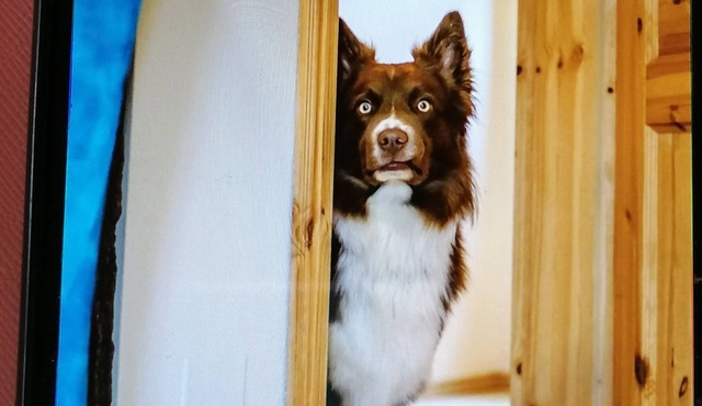 Fantastic apartment near the Bliesgau biosphere reserve