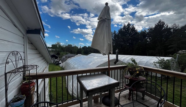 Fantastic bungalow in Waterloo perfect for a relaxing getaway