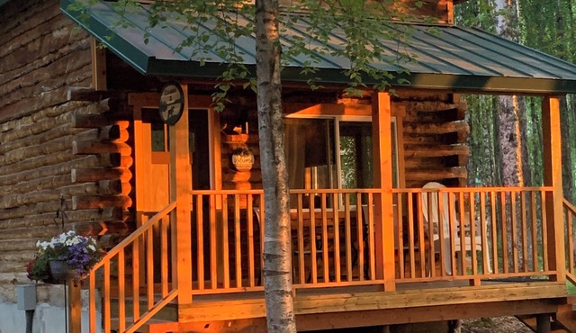 Fantastic Cabin in Willow, Sleeps 3! Full kitchen and bathroom!