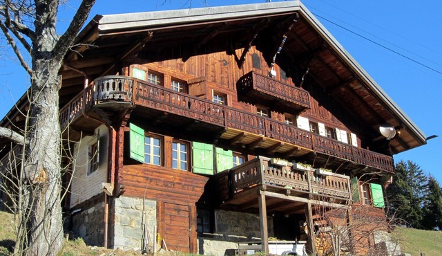 Fantastic chalet, summer and winter across the Dents du Midi, Portes du Soleil