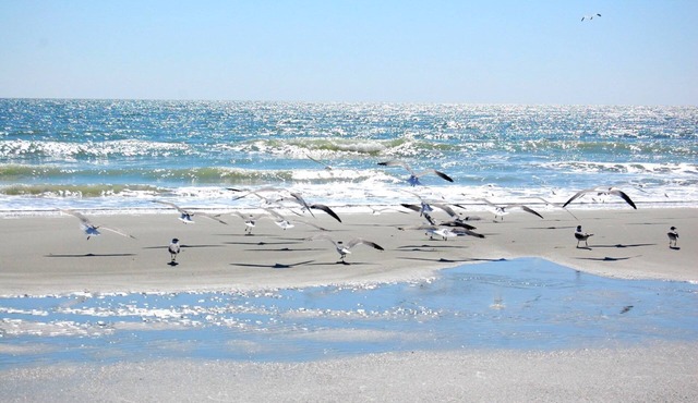 Fantastic Condo Adjacent to Harry the Hats and Across from the Apache Pier -