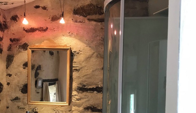 Fantastic Farm house - close to Puy du Fou