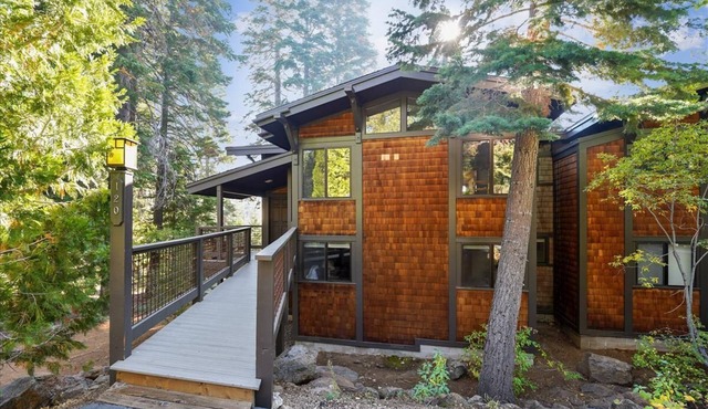 Fantastic Forest Setting Rocky Ridge #120