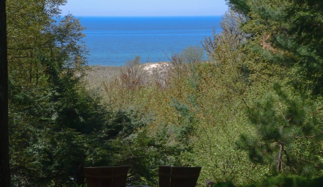Fantastic lake views in woodland/garden setting w/23' ceilings, firepit/chiminea