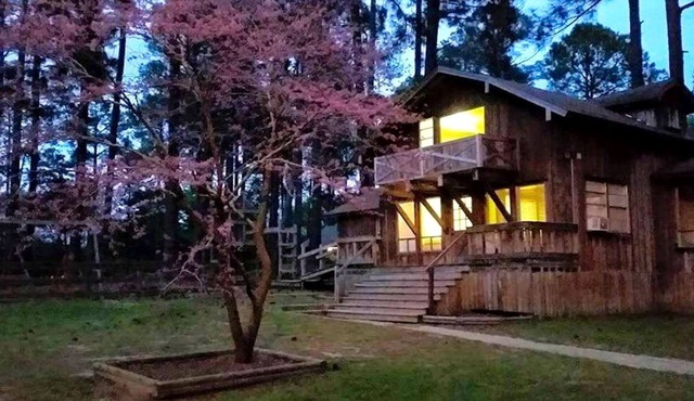Fantastic Log Cabin Rental for a Fun-Filled Family Vacation in Texas