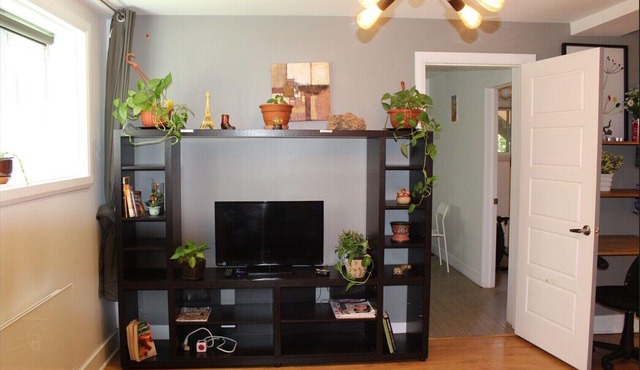 Fantastic Montreal Apartment