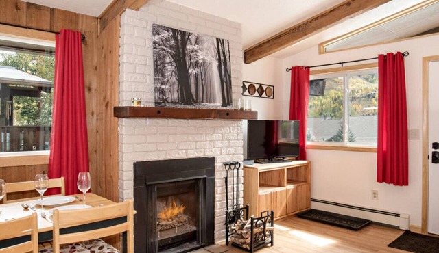 Fantastic Mtn Condo w/Great Views, On Bus Route!