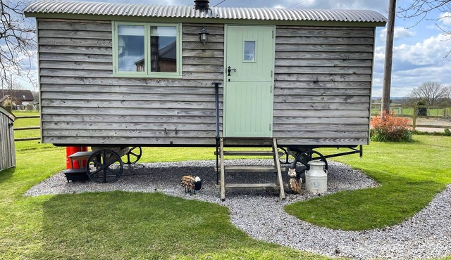 Fantastic shepherd’s hut with stunning views is the ultimate stay for your next getaway.