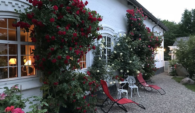 Fantastic vacation right on the Baltic Sea coast of Southern Jutland, Broagerland