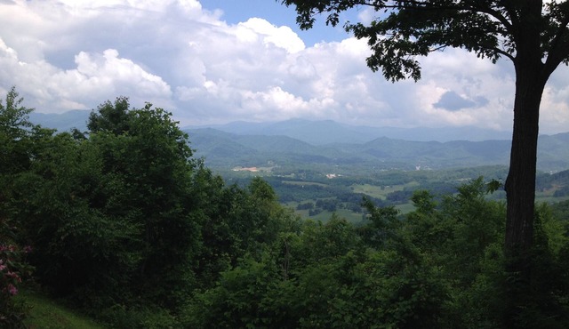 Fantastic Views, Excellent Location! 3 Bdrms At A Great Price!