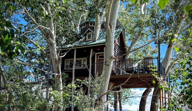 Fantasy Treehouse and Resortn