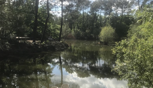 Farmhouse cabin with indoor pool and Jacuzzi