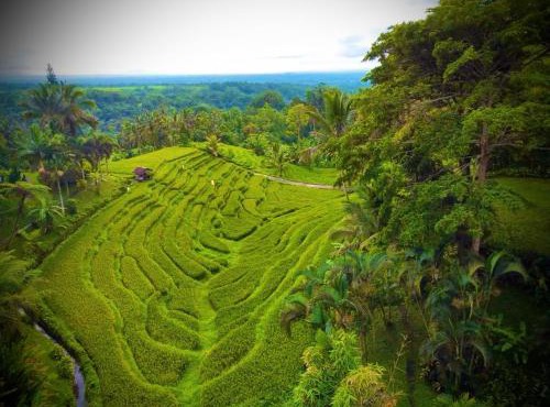 Faraway Mount Batukaru