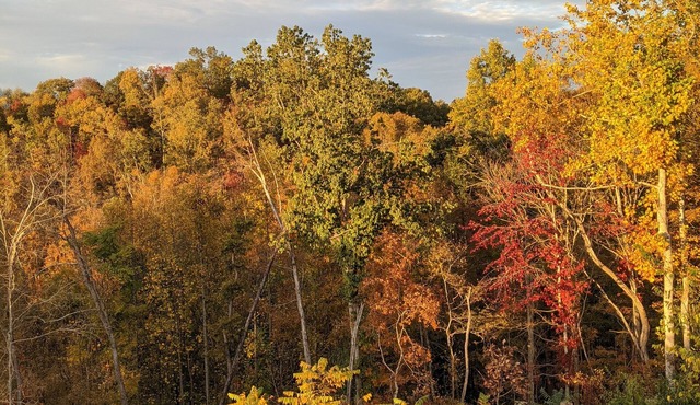 Farm Apartment - 10 minutes to downtown Nashville