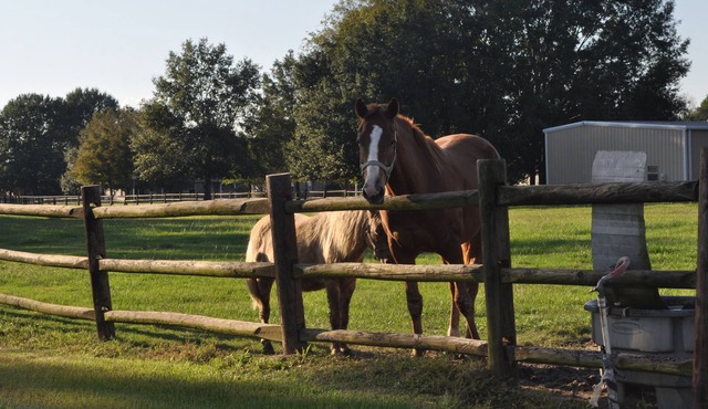 Farm Charm Enjoy the Great Scenery