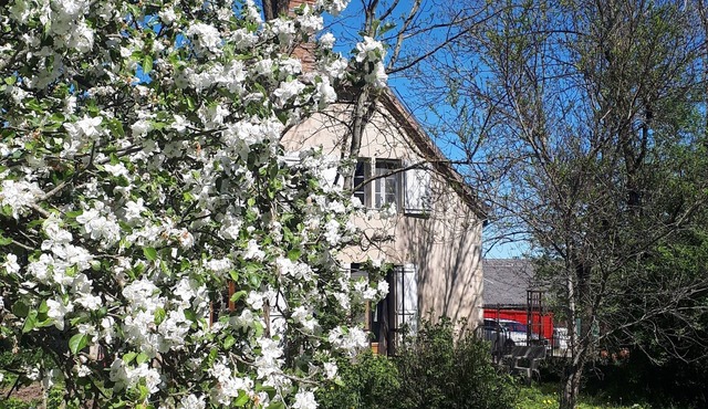 Farm cottage with animals, cheese and nature