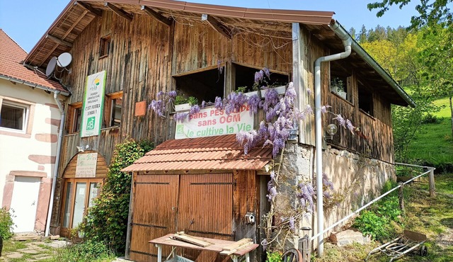 Farm cottage