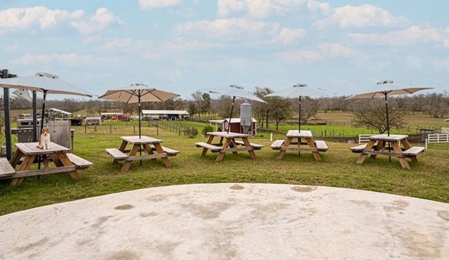 Farm experience and group getaway at Pazific Ranch