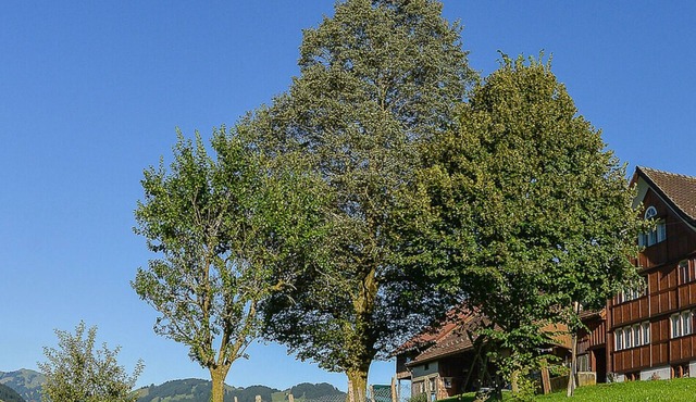 Farm holidays with the best Alpstein view