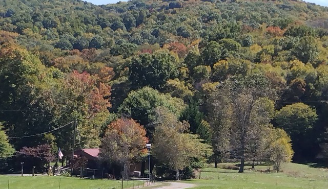 Farm house, near Mt. Rogers, State Parks, Hiking, fishing, horse riding, tubing.