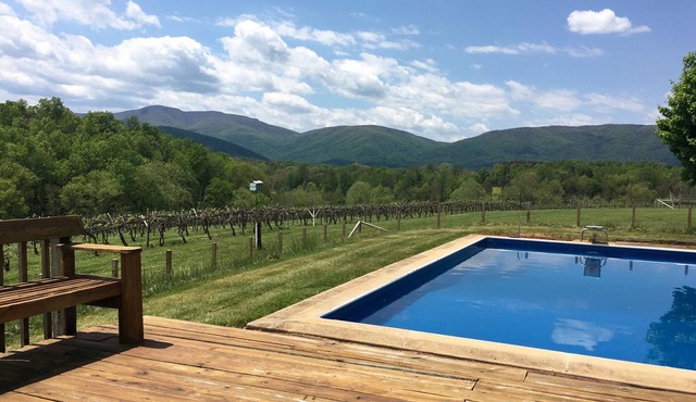 Farm House on Working Vineyard Near Blue Ridge Mountains, Charlottesville