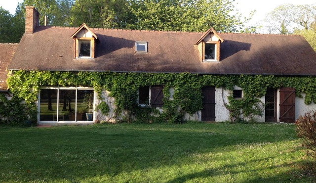 FARM IN THE MIDDLE OF HORSES