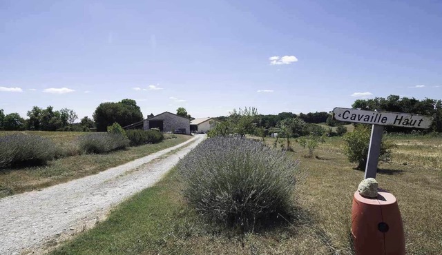 Farm in the countryside - vacation accommodation