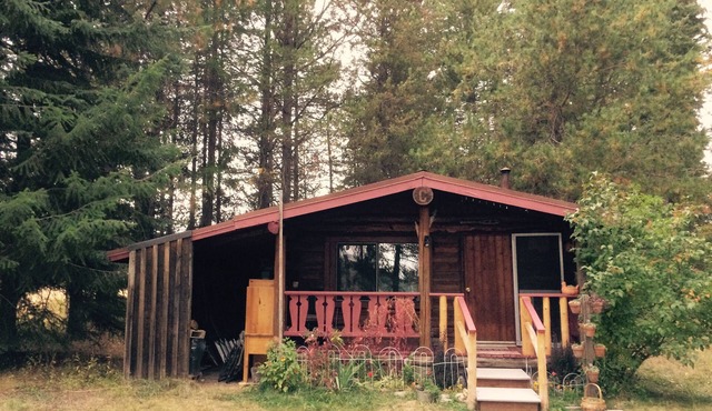 Farm, Orchard, animals, mini horse and abundant Wildlife, close fishing