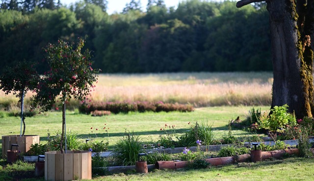 Farm Pottery House in 84 acres Land in Cornelius/Hillsboro