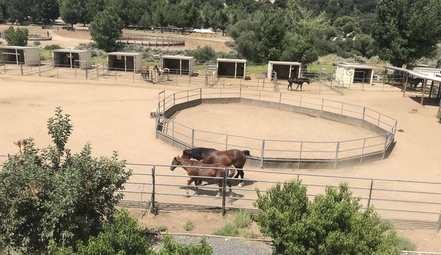 Farm Stay 101