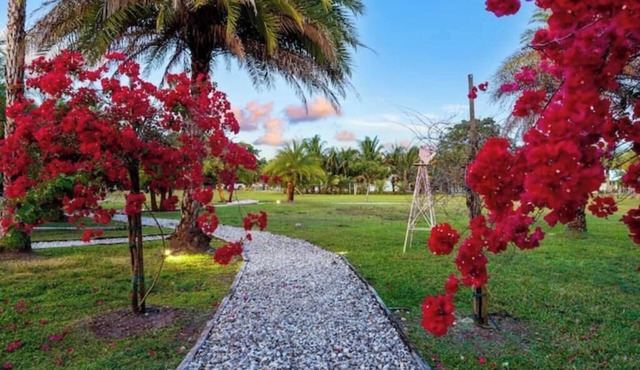 Farm Stay, 5b/5bath, Alpaca & Donkey Farm, 5 Acres