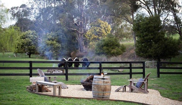 Farm Stay Feel, Tiny Home Vibes