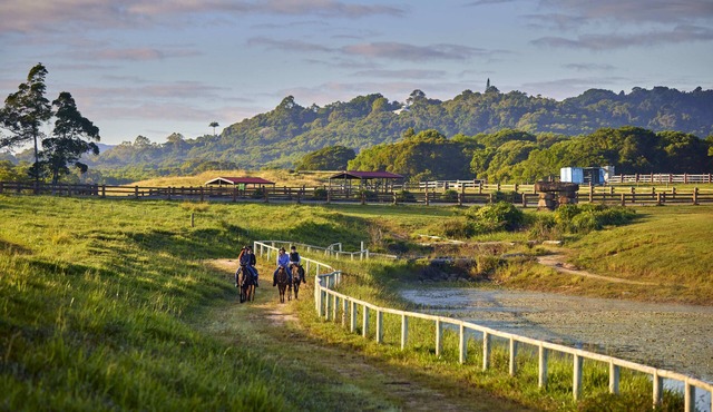 Farm Stay! Fun activities for the whole family-35 minutes from Cairns CBD