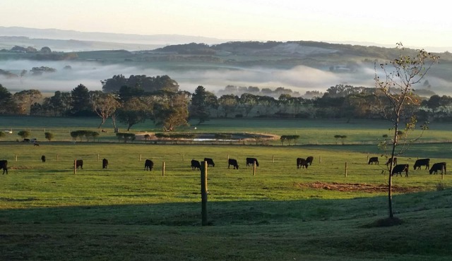 Farm Stay Holiday Accommodation Inverloch South Gippsland Dog Friendly