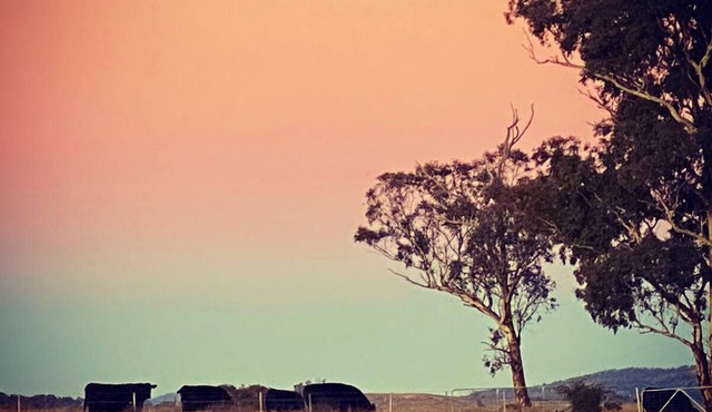 Farm Stay near Bathurst with a Magical View