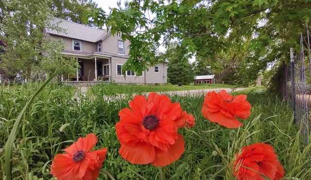 Farm to Folklore - Fairytale Farmhouse