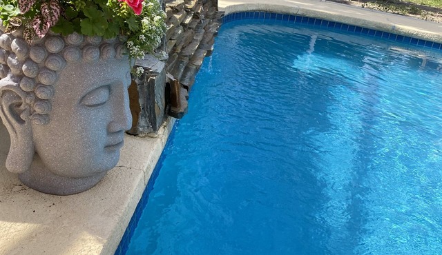 Farm Tranquility Close to Beaches, Busch Gardens & Tampa Bustle