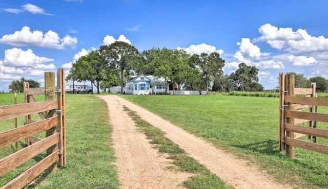 Farmhouse+5 acres.Close to town but still country!