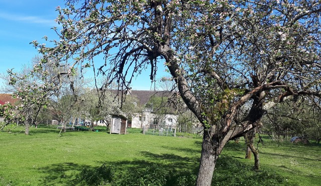 Farmhouse, animals, nature and terroir