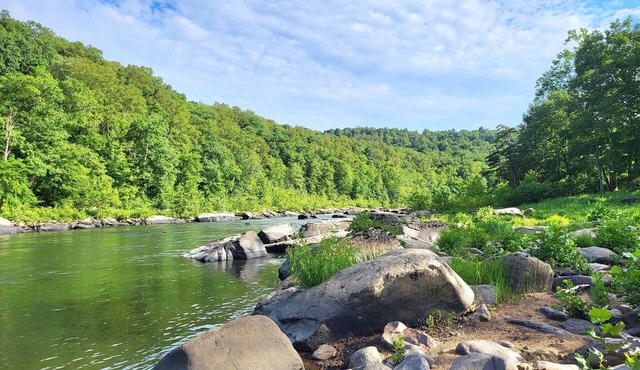Farmhouse amidst Appalachian peace & tranquility & views! Pet-friendly!
