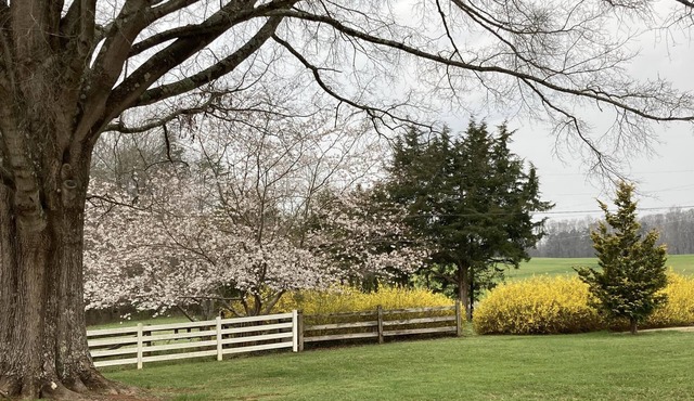 Farmhouse Charm in Historic Mocksville NC - a small town favorite.
