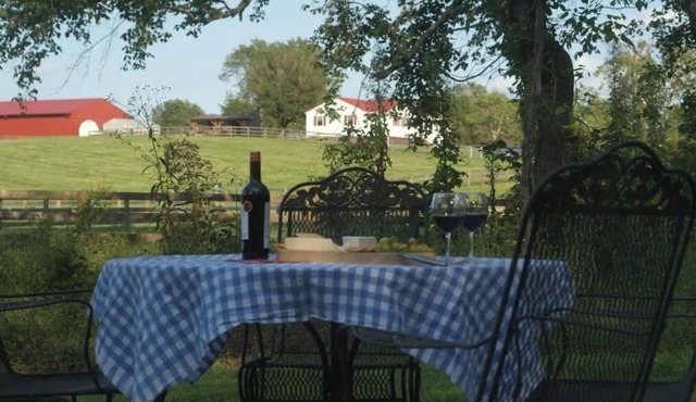 Farmhouse close to Wedding venues, Wineries, breweries, shops. Dogs welcome!