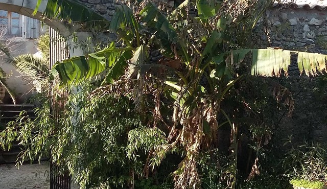 Farmhouse Drôme provençale