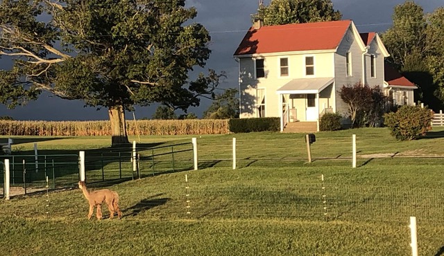 Farmhouse Getaway nLocated between boat ramps and 20 minutes to Miami.