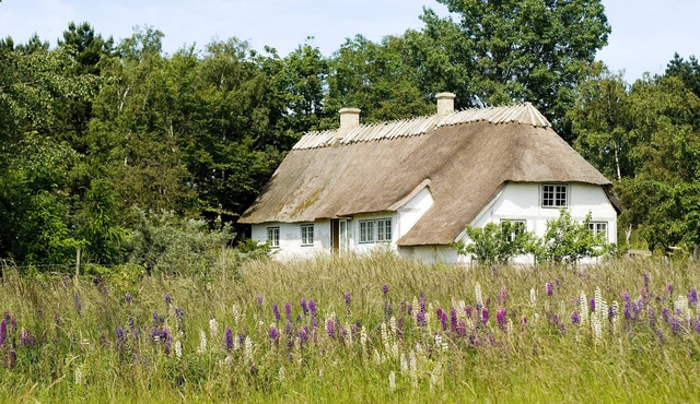 Farmhouse idyll at Møns Klint