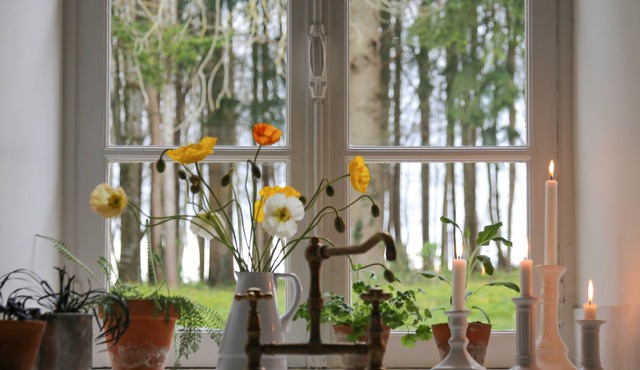 Farmhouse in a private forest