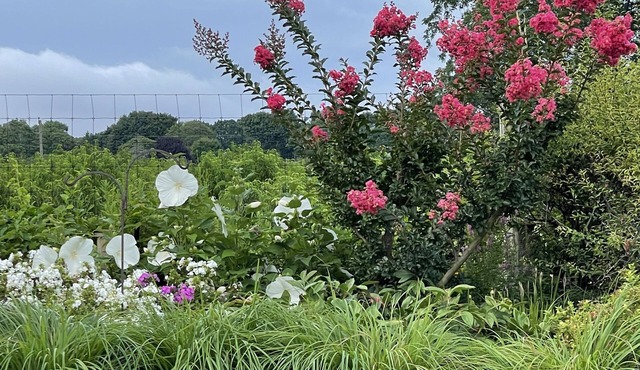 Farmhouse in Cutchogue