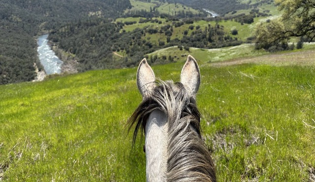 Farmhouse near American River