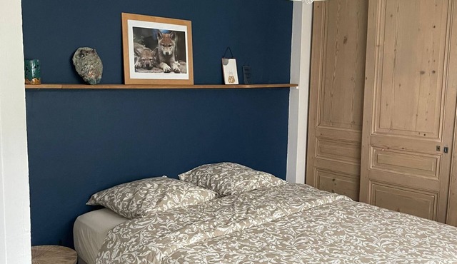 Farmhouse, renovated, 5 bedrooms, 10 people, swimming pool, bowling green, very quiet.